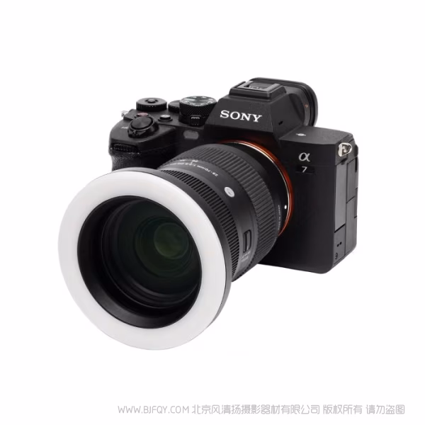 SmallRig Vibe P30 67mm 螺纹环形LED补光灯 4873